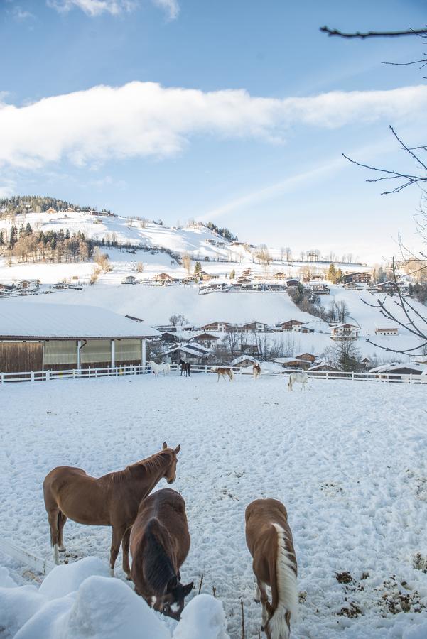 Hotel & Alpin Lodge Der Wastlhof Нийдерау Екстериор снимка